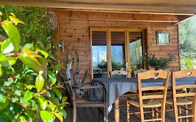L'Alivetu, Chambres D'Hotes